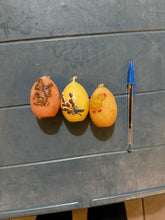 Load image into Gallery viewer, Easter candle set
