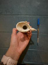 Load image into Gallery viewer, Mini pitcher
