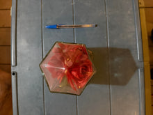 Load image into Gallery viewer, Encased flower decor
